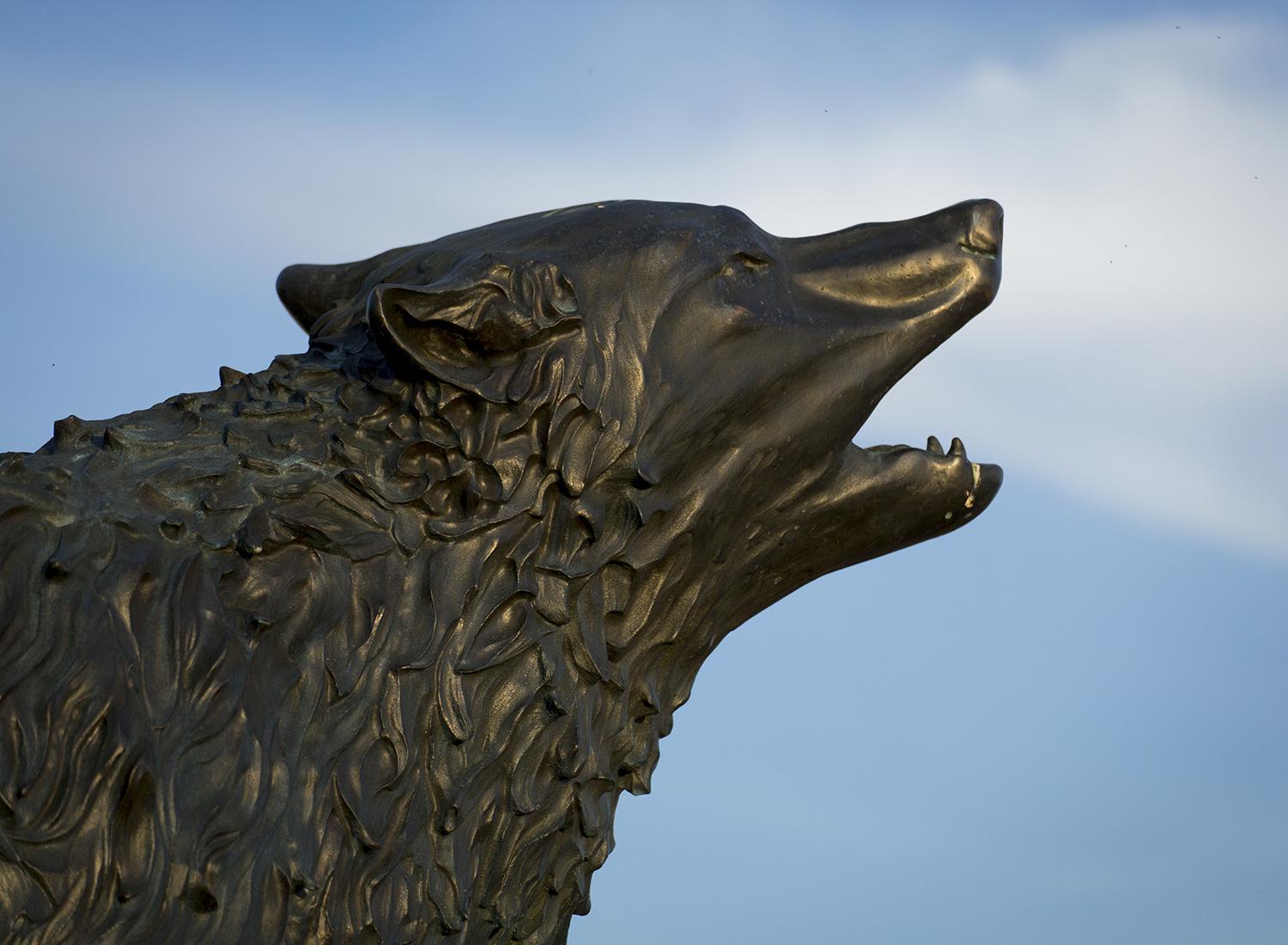 澳门新普京注册在体育场的狼雕像 